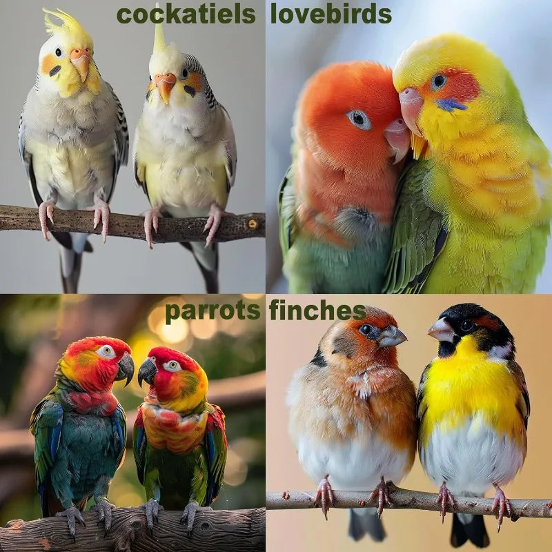 7Pcs Wood Bird Toys for Parakeets: Perch, Swing, Ladder, Climbing Set for Budgies, Cockatiels, Conures