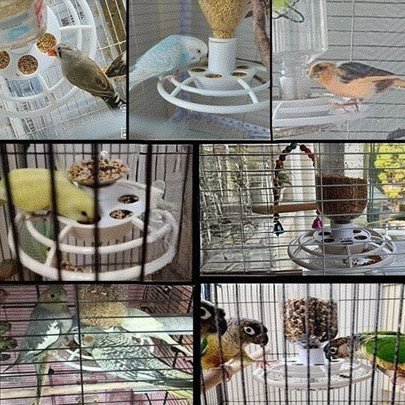 Automatic Bird Feeder with Anti-Scatter, Parrot Food Dispenser for Cage, Hanging Hook Auto-Feeding Container for Small Birds 