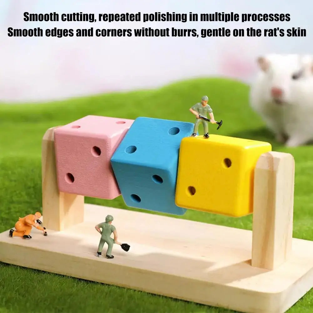1pcs Hamster Fitness Cube Colorful Multi Faceted Activity Stress Relieving And Anti Depressant Toys For Hamster Sports