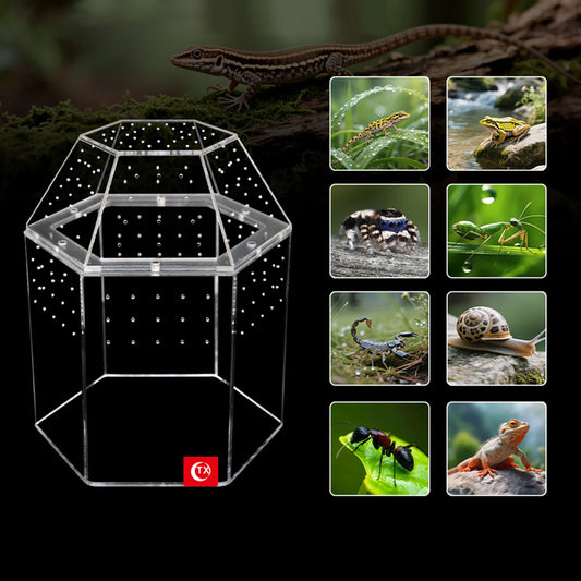Jumping Spider Enclosure Full Transparency Tortoise Enclosure All-Side Ventilation Reptile Breeding Box for Frog Crickets Snails
