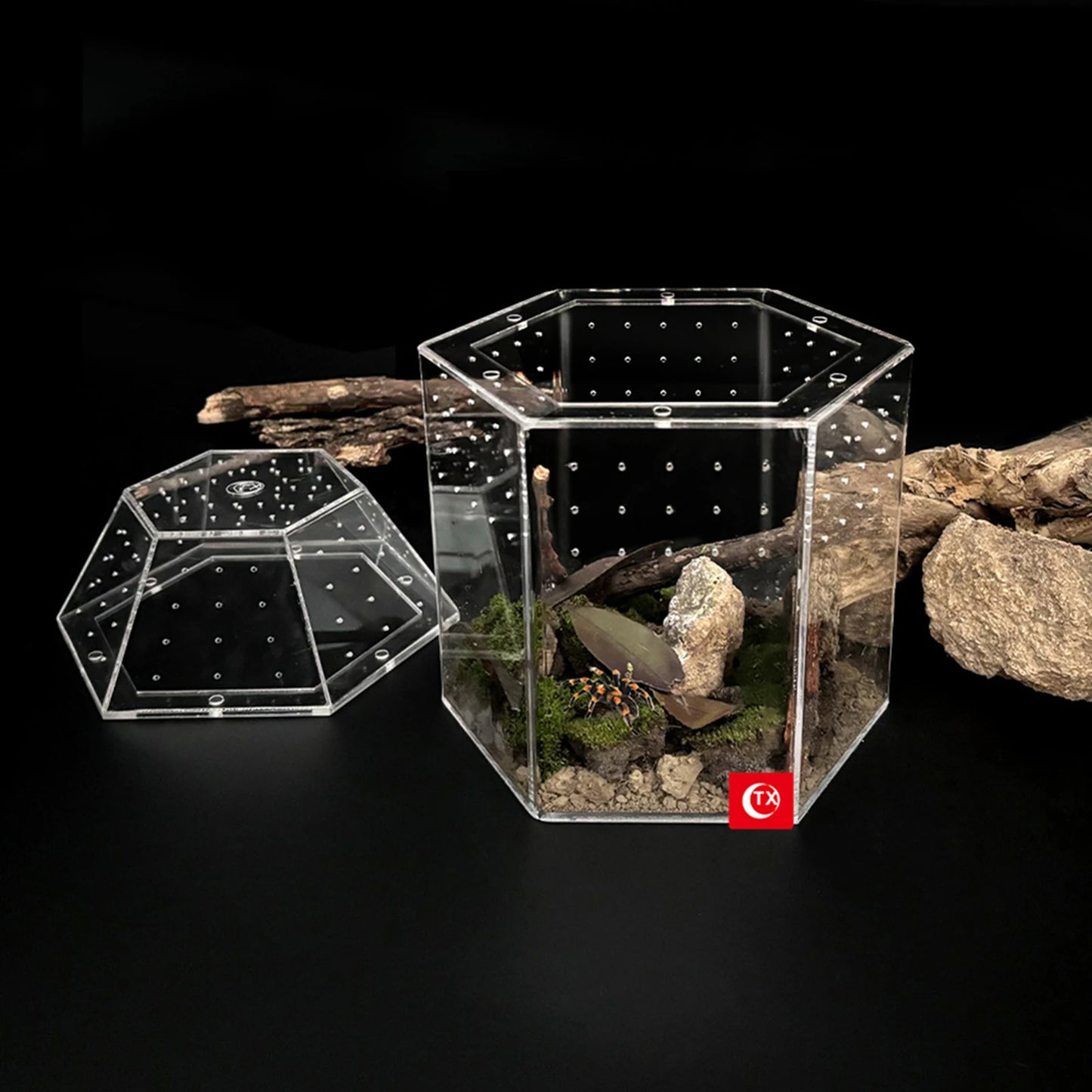 Jumping Spider Enclosure Full Transparency Tortoise Enclosure All-Side Ventilation Reptile Breeding Box for Frog Crickets Snails