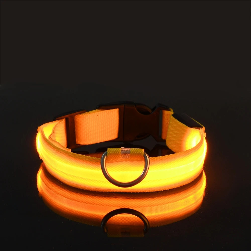 Nylon LED Luminous Dog Leash & Collar Set - Glow In The Dark Safety Flashing Pet Leash for Dogs
