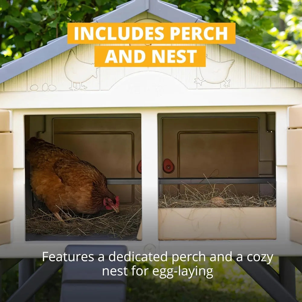 Chicken Coop, Spacious Design for 5 Hens, Durable UV-Protected Plastic, Easy Assembly, Secure Locking Doors
