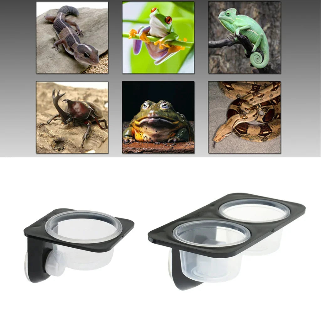 Reptiles & Amphibians Lizard Gecko Suction Cup Feed Bowls Food Container with Bowl for Reptile Food and Water Feeding