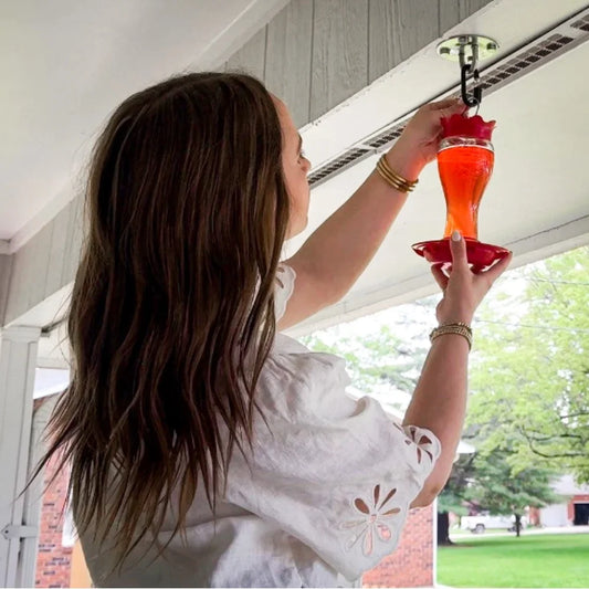 Glass Hummingbird Feeder 16oz Ant Moat Bee Resistant Wide Mouth Easy Clean Durable Weatherproof Hanging Bird Feeder