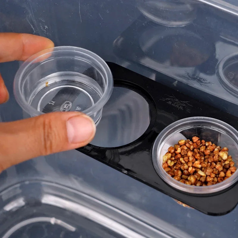 Reptile Feeder with Suction Cup Reptile Feeders Feeding Bowls  Food Container with Bowl for Reptile Food and Water Feeding
