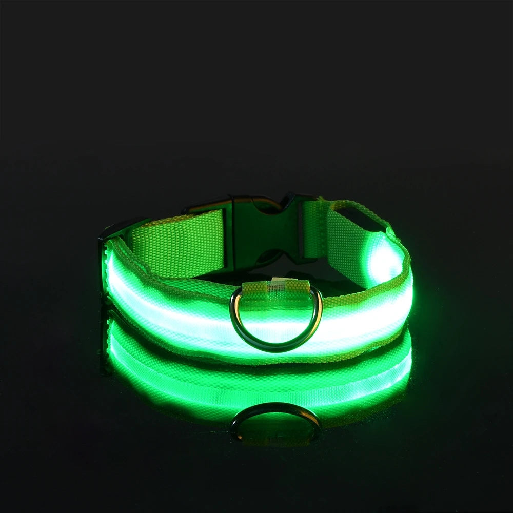 Nylon LED Luminous Dog Leash & Collar Set - Glow In The Dark Safety Flashing Pet Leash for Dogs
