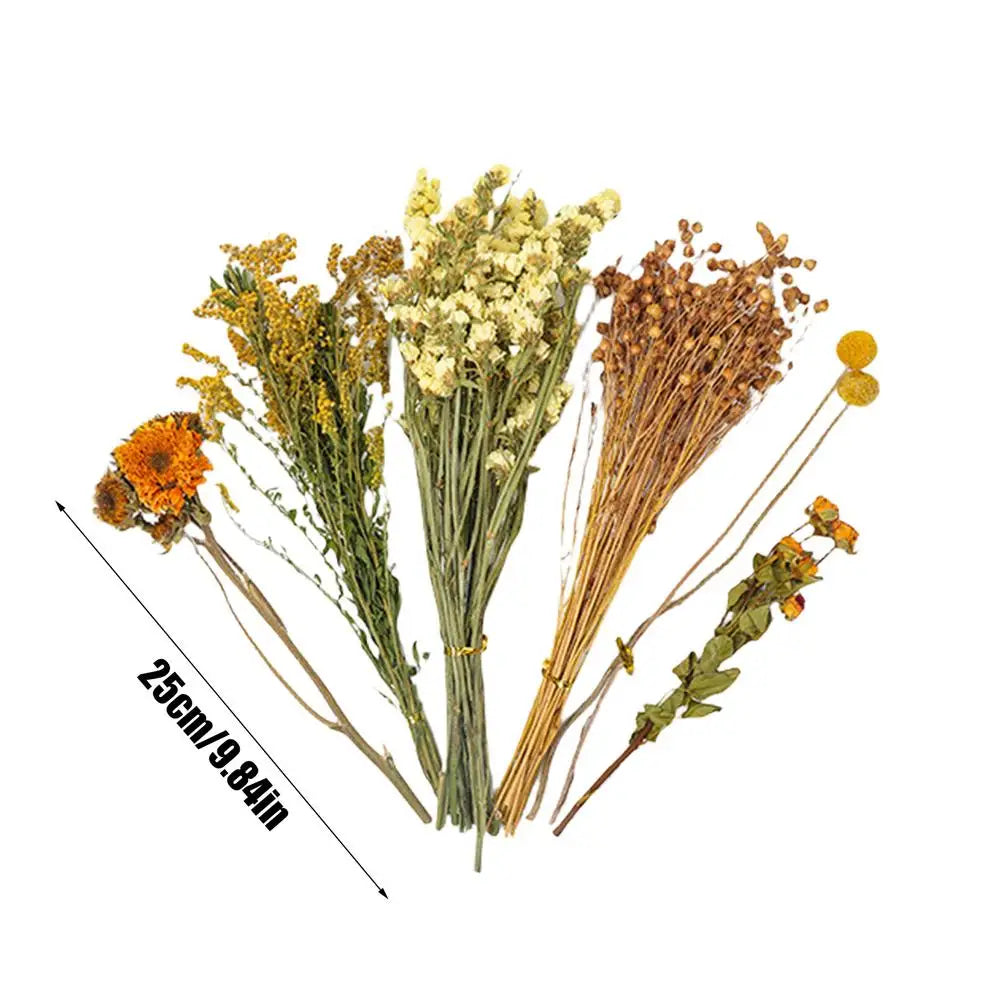 Natural Dried Flower Hamster Bedding Hamster Cage Landscaping Supplies Hamster Accessories Small Pet Bedding