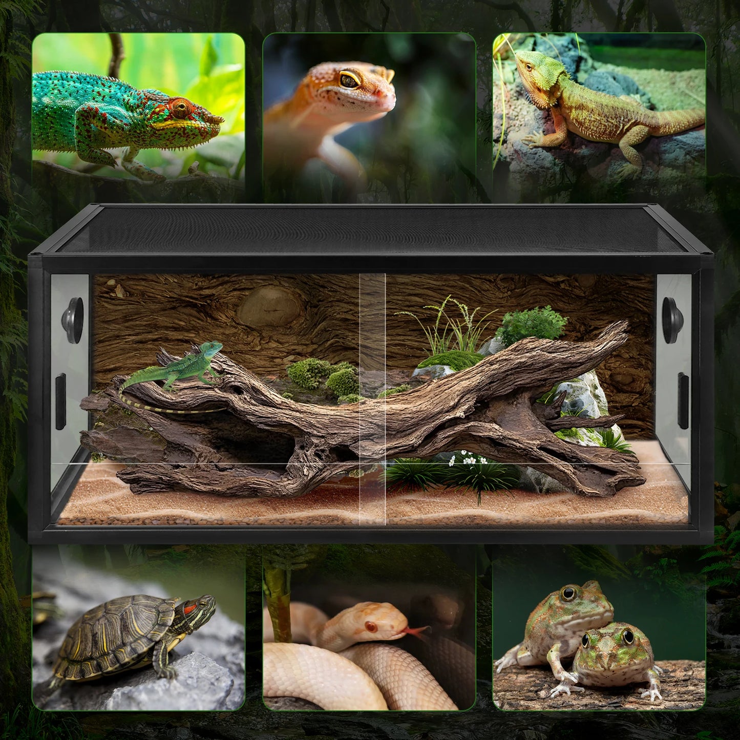 Climbing Pet Tank Front Opening Reptile Landscaping Container with Ventilation Plant Gecko Ecological Tank Gift for Pet