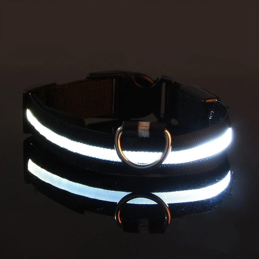 Nylon LED Luminous Dog Leash & Collar Set - Glow In The Dark Safety Flashing Pet Leash for Dogs
