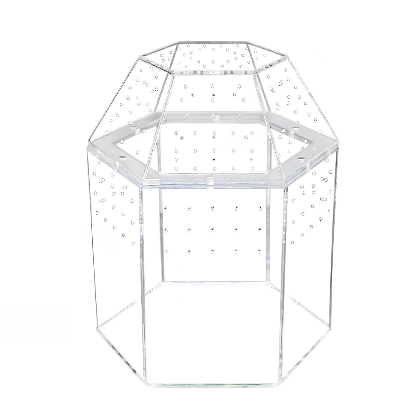 Jumping Spider Enclosure Full Transparency Tortoise Enclosure All-Side Ventilation Reptile Breeding Box for Frog Crickets Snails