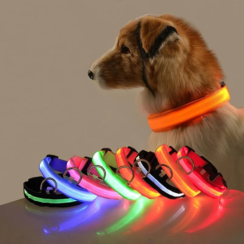 Nylon LED Luminous Dog Leash & Collar Set - Glow In The Dark Safety Flashing Pet Leash for Dogs