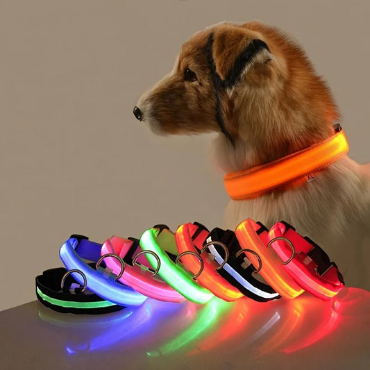 Nylon LED Luminous Dog Leash & Collar Set - Glow In The Dark Safety Flashing Pet Leash for Dogs