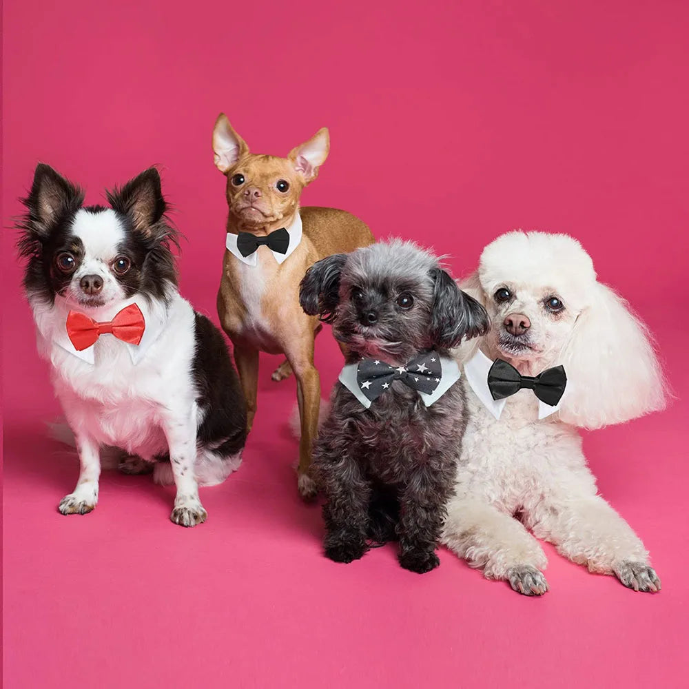 Adjustable Formal Pet Bowtie Collar Neck Tie for Cats & Dogs Pet Tuxedo Wedding Costume Kitten Cat Bowtie Puppy Bowknot Collar