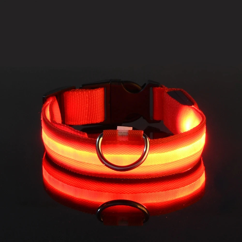 Nylon LED Luminous Dog Leash & Collar Set - Glow In The Dark Safety Flashing Pet Leash for Dogs