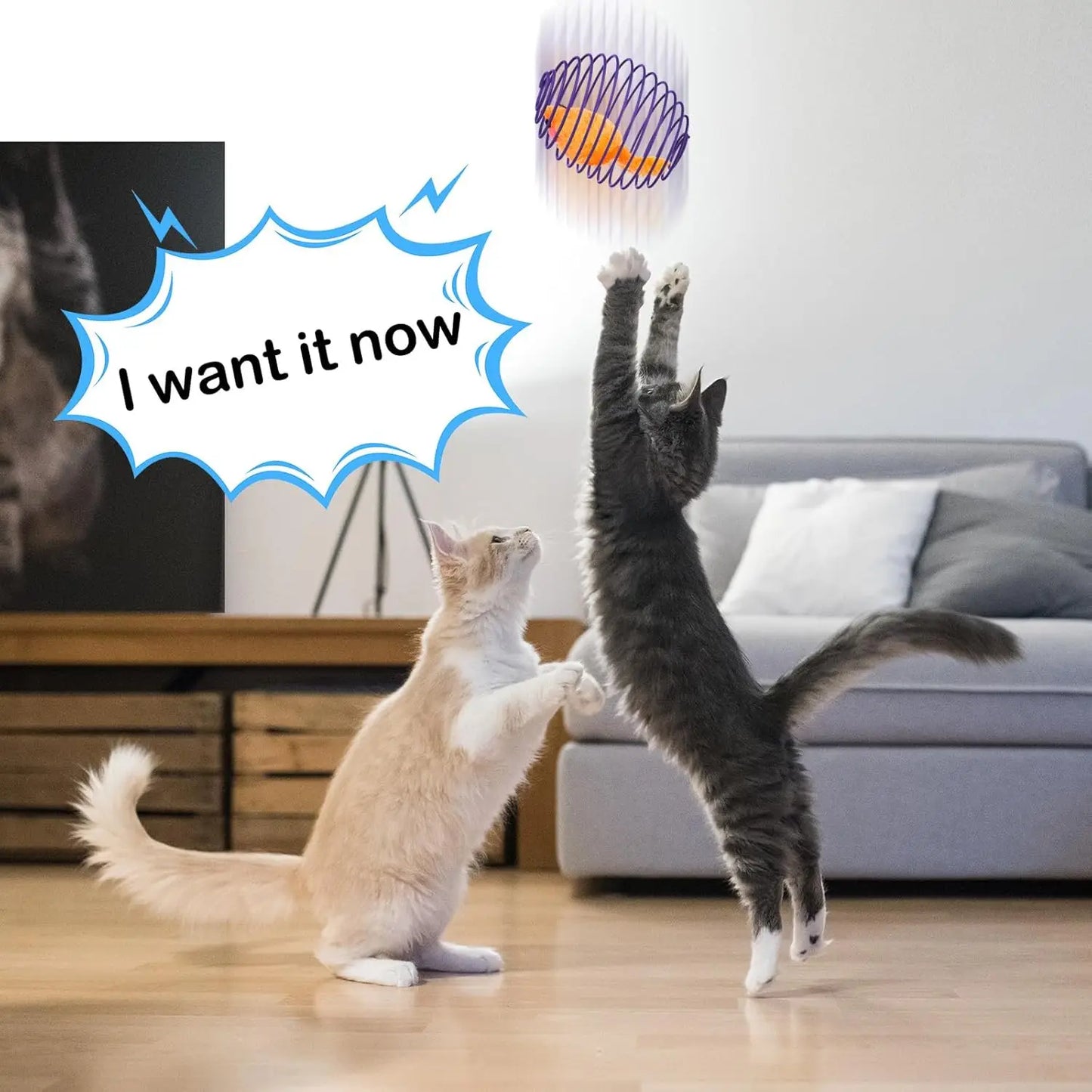 5 Pcs Halloween Cat Spring Balls, Colorful Rolling Toys for Kittens, Interactive Stretchable Pet Playthings