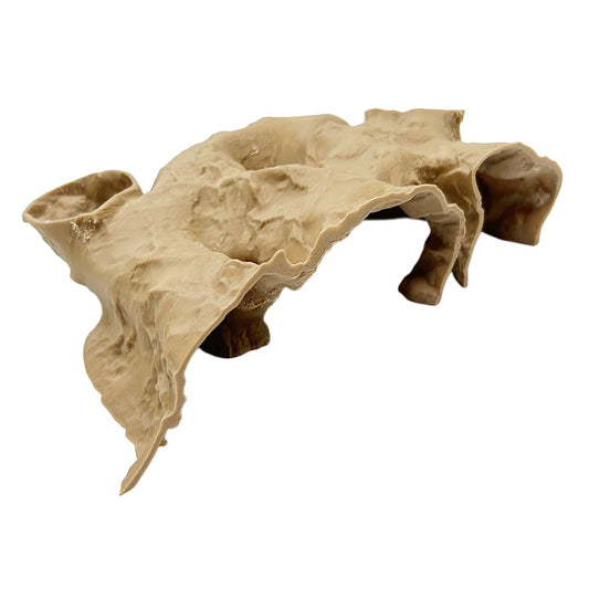 3D Printed Aquarium Decoration Underground Tunnel Cave Fish Tank Accessories Natural Shelter Breeding Landscaping Ornaments