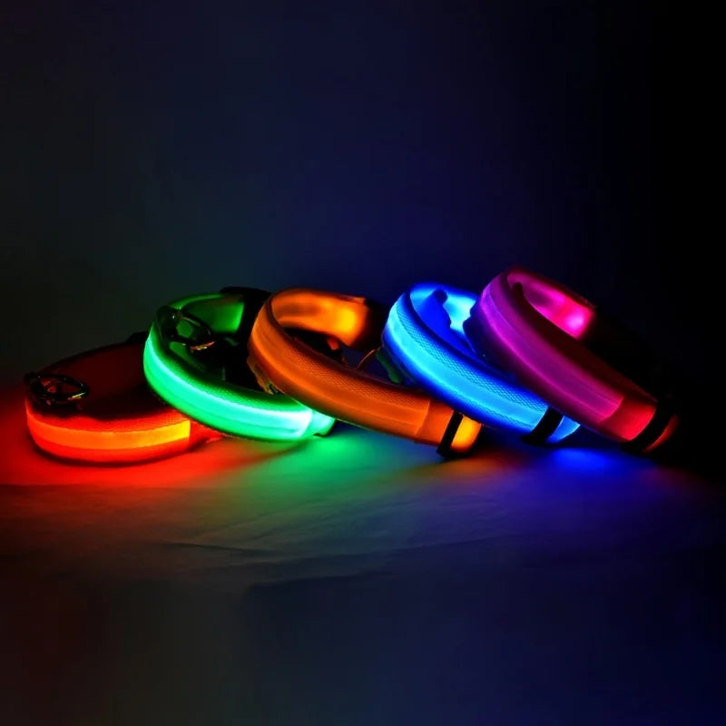Nylon LED Luminous Dog Leash & Collar Set - Glow In The Dark Safety Flashing Pet Leash for Dogs
