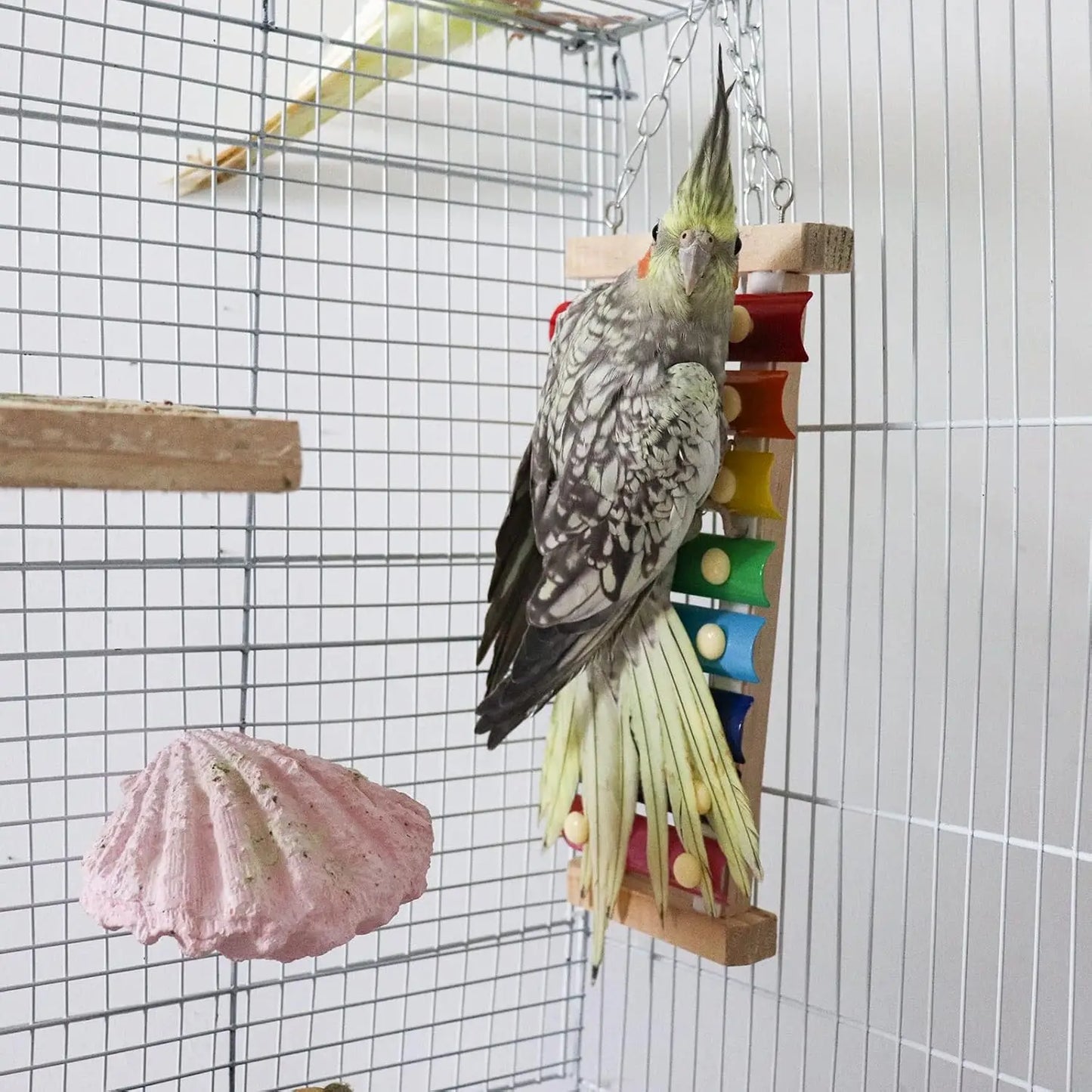 Colorful Suspensible Xylophone Toy with 8 Metal Keys for Parrots & Birds