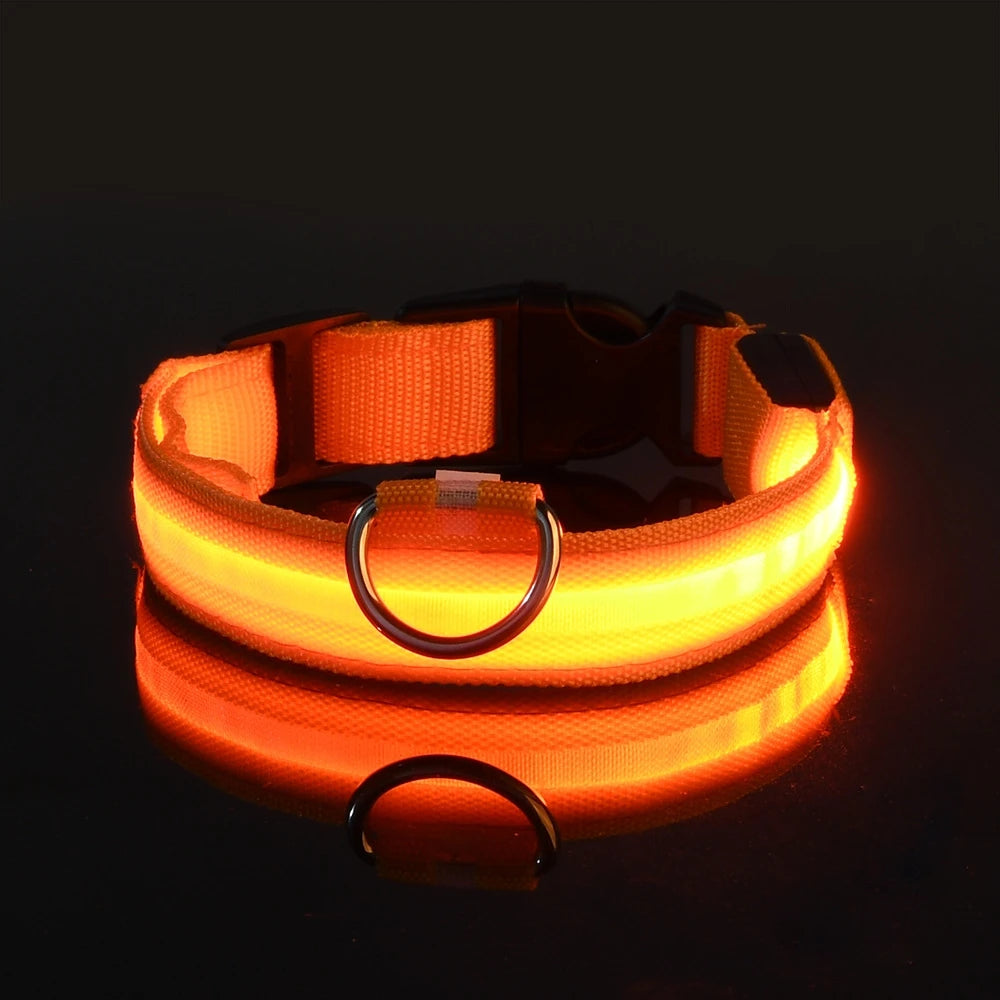 Nylon LED Luminous Dog Leash & Collar Set - Glow In The Dark Safety Flashing Pet Leash for Dogs