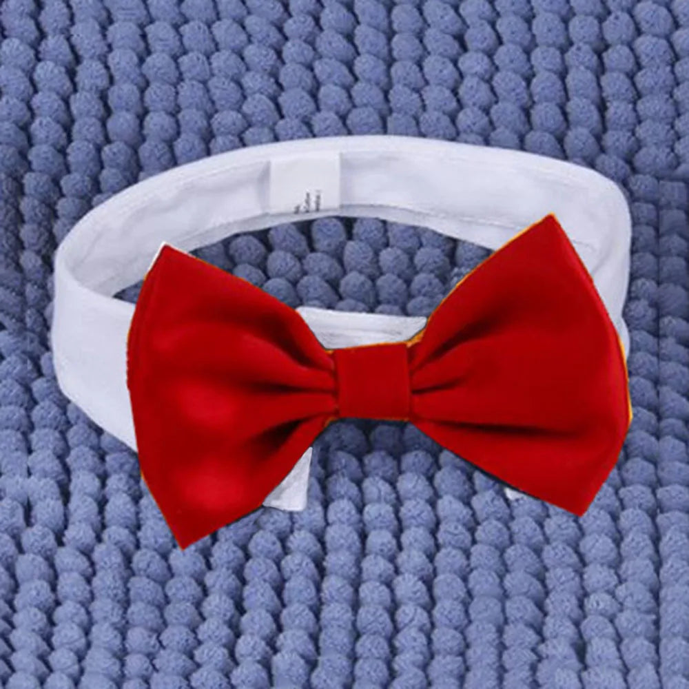 Adjustable Formal Pet Bowtie Collar Neck Tie for Cats & Dogs Pet Tuxedo Wedding Costume Kitten Cat Bowtie Puppy Bowknot Collar