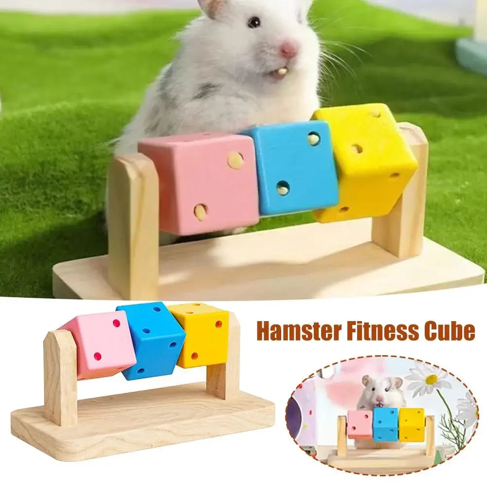 1pcs Hamster Fitness Cube Colorful Multi Faceted Activity Stress Relieving And Anti Depressant Toys For Hamster Sports