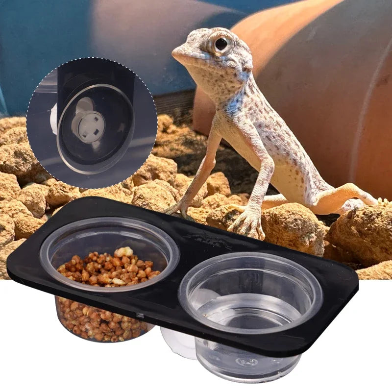 Reptile Feeder with Suction Cup Reptile Feeders Feeding Bowls  Food Container with Bowl for Reptile Food and Water Feeding