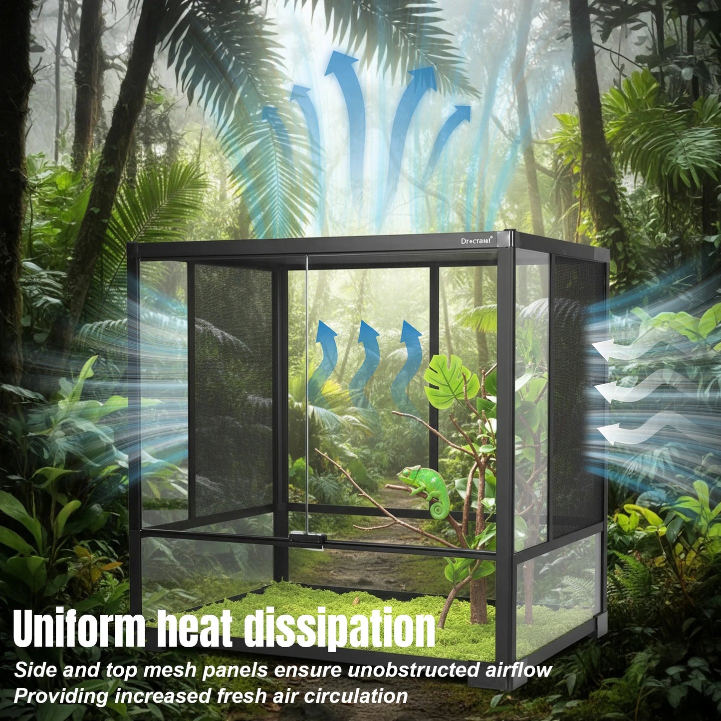 Reptile Glass Terrarium Front Opening Door Appealing Mini Reptile or Amphibians Glass Habitat for Bearded Dragon Black Snake