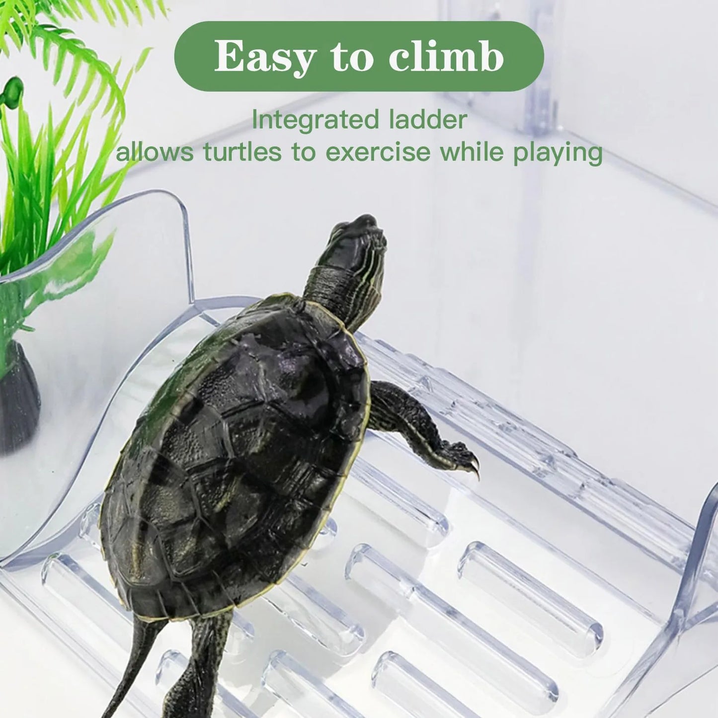 Floating Turtle Basking Platform Transparent Perforated Climbing Platform with Wide Hook for Aquatic Turtles