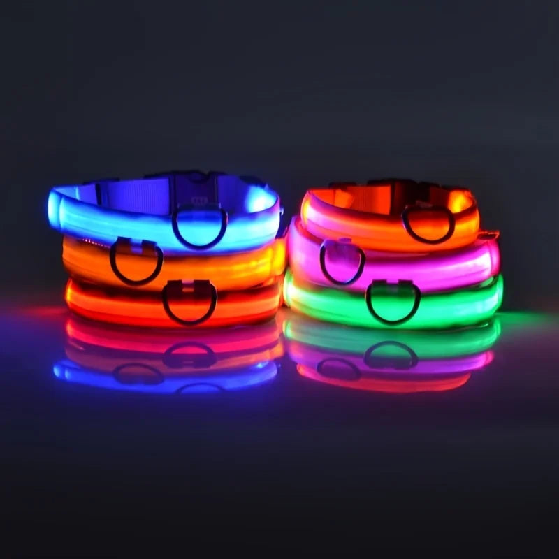 Nylon LED Luminous Dog Leash & Collar Set - Glow In The Dark Safety Flashing Pet Leash for Dogs