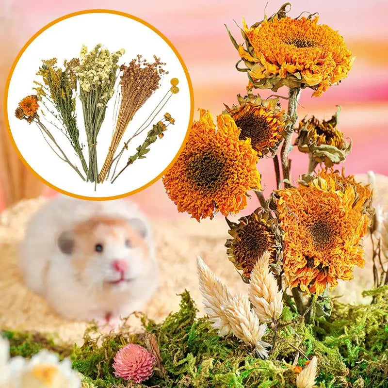 Natural Dried Flower Hamster Bedding Hamster Cage Landscaping Supplies Hamster Accessories Small Pet Bedding