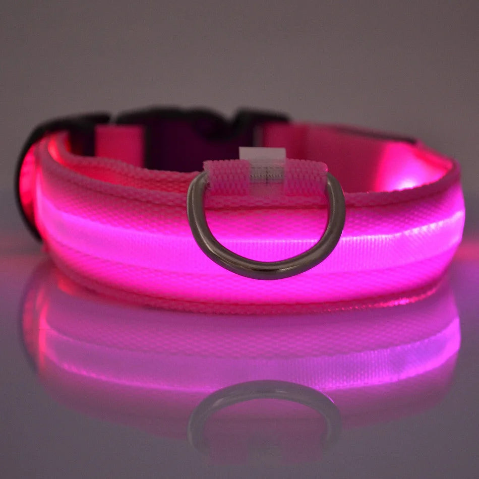 Nylon LED Luminous Dog Leash & Collar Set - Glow In The Dark Safety Flashing Pet Leash for Dogs