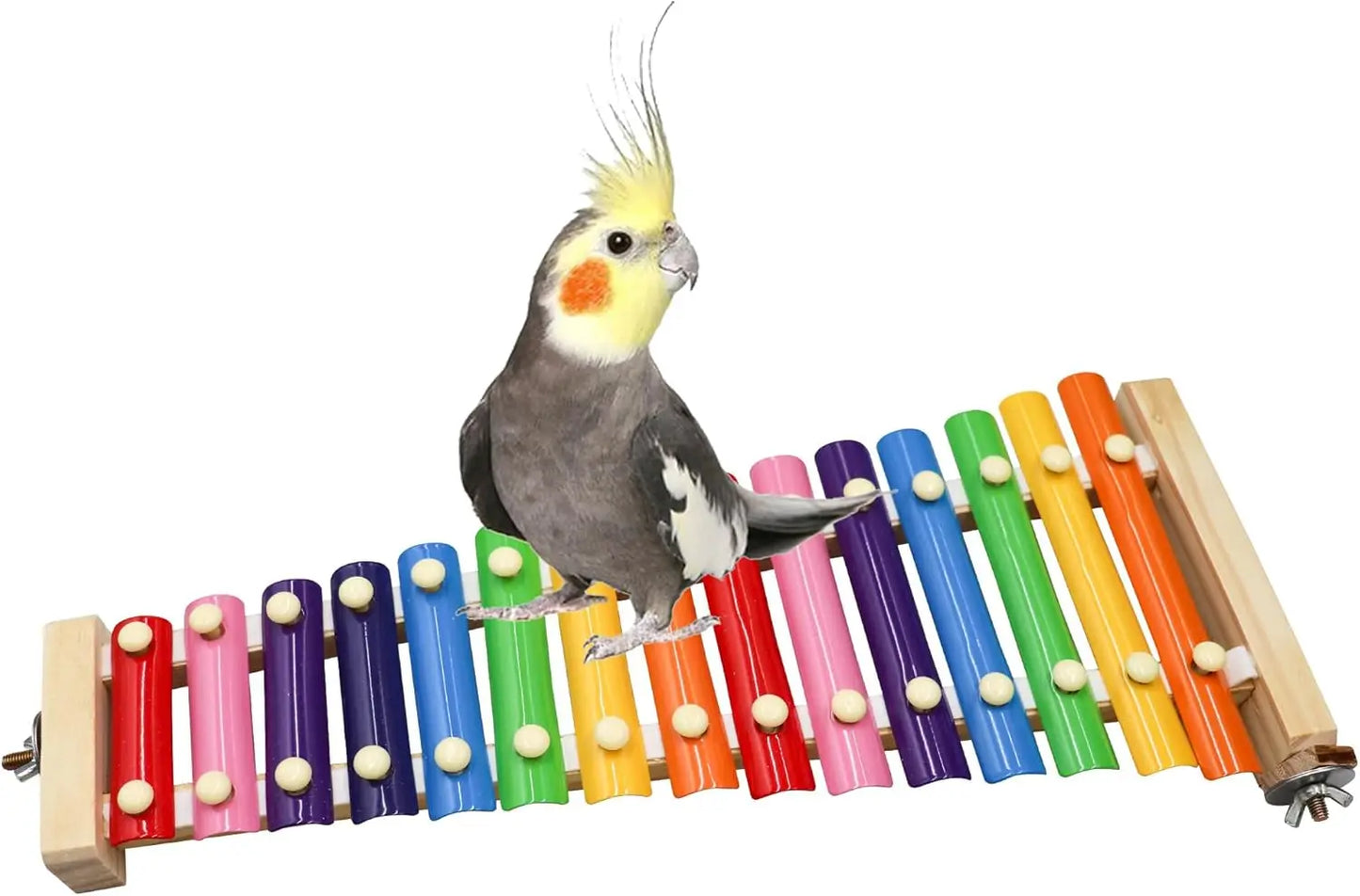 Colorful Suspensible Xylophone Toy with 8 Metal Keys for Parrots & Birds